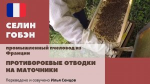 Противороевые отводки на 3-х дневные маточники и проверка приема плодных маток (Селин Гобэн)
