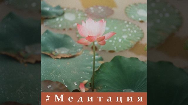 Внутреннее очищение