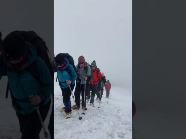 Группа Клуба 7 Вершин "Viva Elbrus"  поднимается в район Скал Пастухова