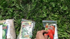 Покупка семян на Вайлдбериз