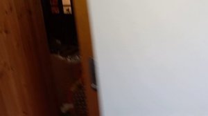купили деткам новые вещи #обзор