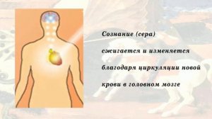 Алхимия Розенкрейцеров: секретное искусство трансформации