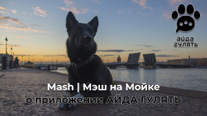 Сюжет об АЙДА ГУЛЯТЬ на Mash | Мэш на Мойке