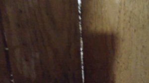 Как приучить поросят ходить в туалет в одно место.