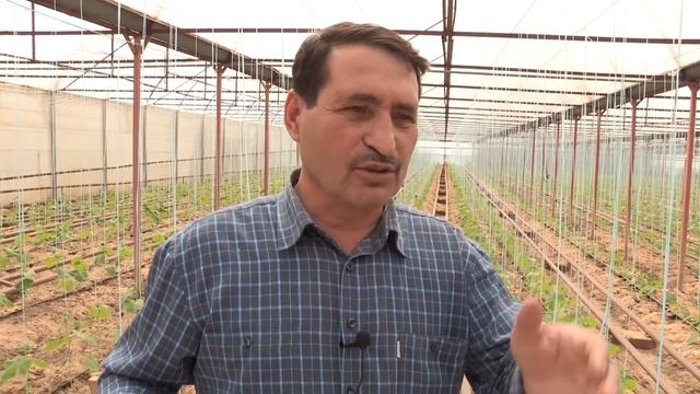 Оптимальная высота теплиц. Совет агронома! смотреть онлайн