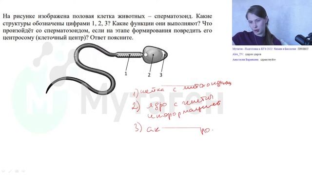 Занятие #9. Размножение организмов. Гаметогенез и эмбриогенез.