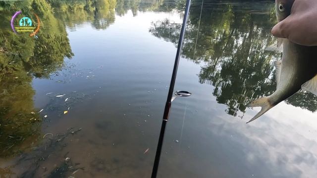 Рыбалка в г.Троицк р.Десна мормышинг