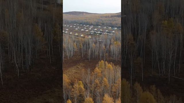 станция Болонь. Новая Болонь. Хабаровский край. Амурский район. осень. смотреть онлайн