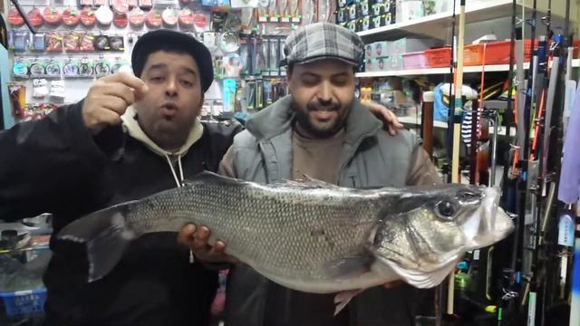 peche gros bar 9 k.250 a bnihaoua par fethi blida смотреть онлайн