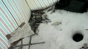 рыбалка на Плёсе