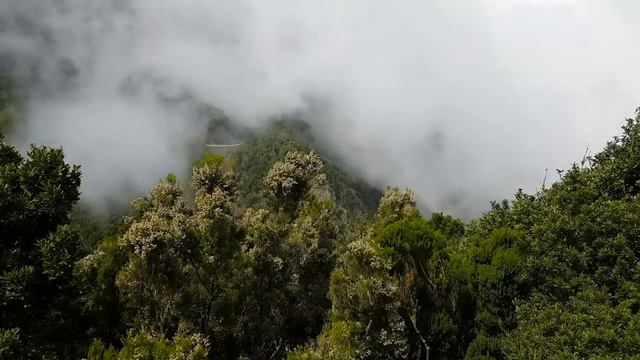 Горы Туман Видео без авторских прав Mountains Fog Video without copyright смотреть онлайн