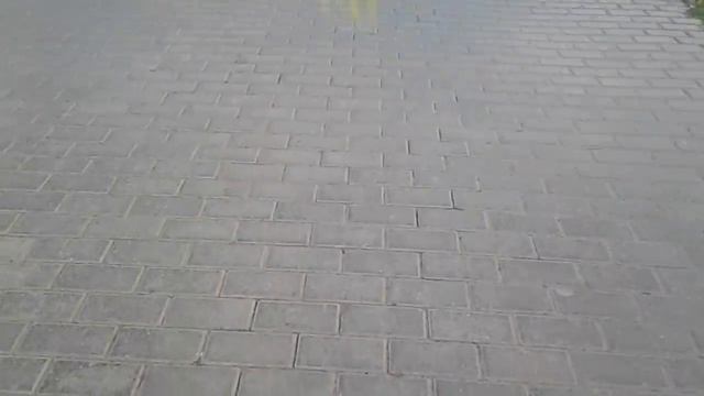 Мастеркласс как стрелять одуванчиками