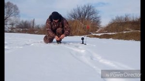 Щурята в начале февраля.