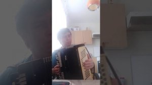 Казачья Сектор газа на баяне
