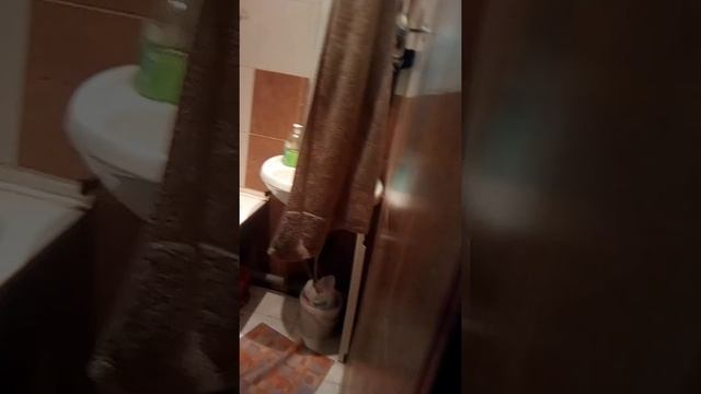 Ночь в туалете смотреть онлайн