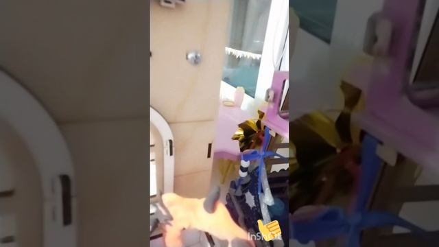 Экскурсия по домикам