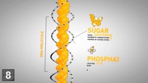 18 фактов о генетике, которые нужно знать всем!