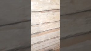 Старый сруб - что делать???