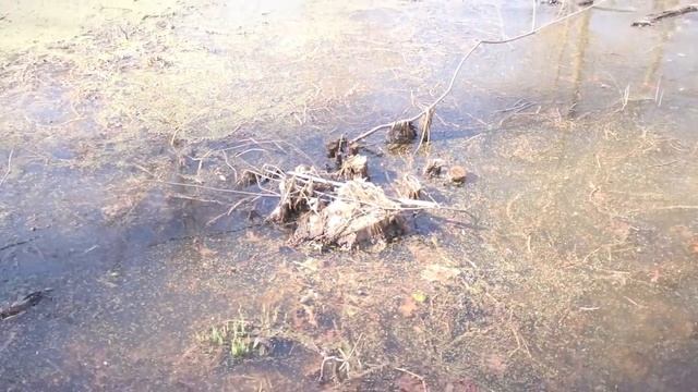 KAYAK BASS FISHING In CRAZY 25 MPH Wind!!!! (BIGGINS!) смотреть онлайн