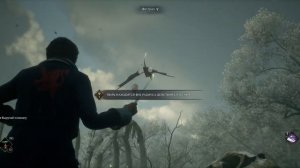 Спасаем и спариваем фестралов в Hogwarts Legacy | Хогвартс Наследие