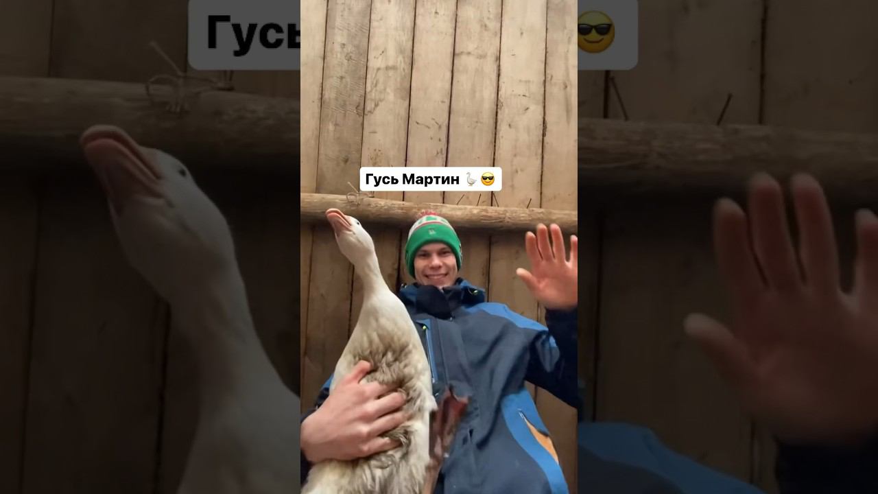 Пора закрывать тренд смотреть онлайн