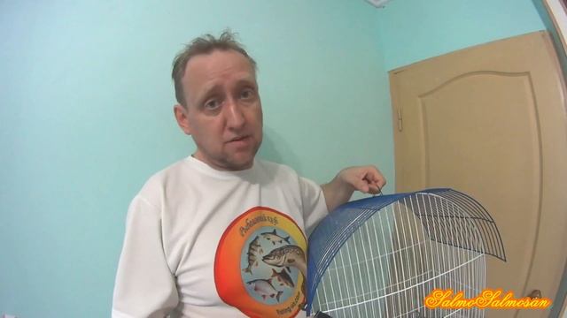 Полезные мелочи и советы при ловле содержании певчих птиц 10