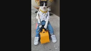 Приколы 2023 Смешные видео #41 август