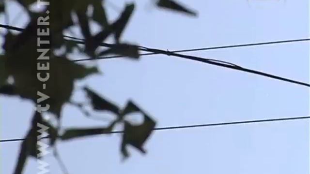 Любо зелено смотреть онлайн