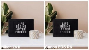 Nikon Z6 II vs Canon EOS R6 | Camera Comparison & Review