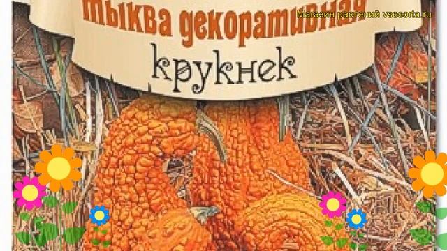 Тыква декоративная Крукнек. Краткий обзор, описание характеристик cucurbita pepo Kruknek смотреть онлайн
