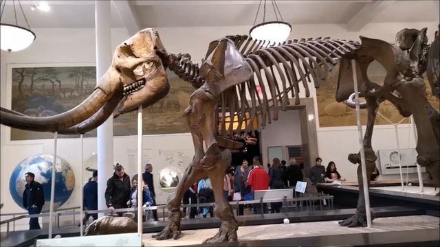 США, Нью-Йорк Сити - столица мира! часть 5