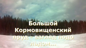 Большой Кормовищенский пруд - взгляд подо льдом