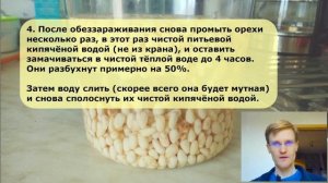 Молоко из кедровых орехов — Рецепты — Оздоравливающее питание