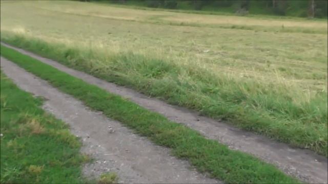 Алтай: Просторы самопознания смотреть онлайн