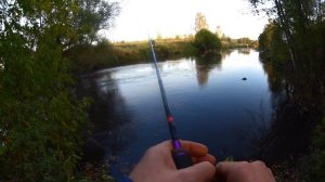 МИКРОДЖИГ на малой реке. Ловля осеннего окуня. Где искать Окуня поздней осенью.