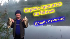 Карась просится на балык