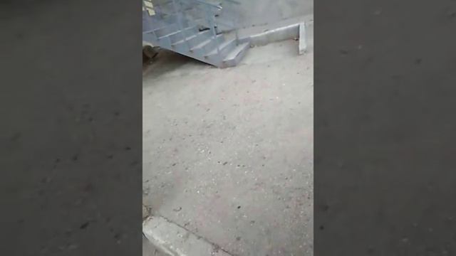 Истерички