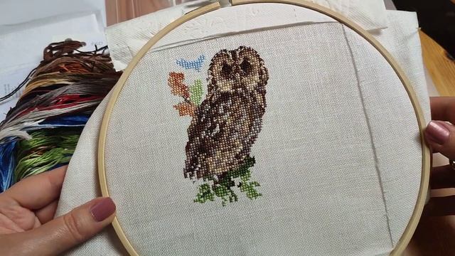 Вышивка текущие процессы RTO, Lanarte,Anchor LL312 ,Anchor PCE 958.Покупки наборов Heritage Crafts. смотреть онлайн