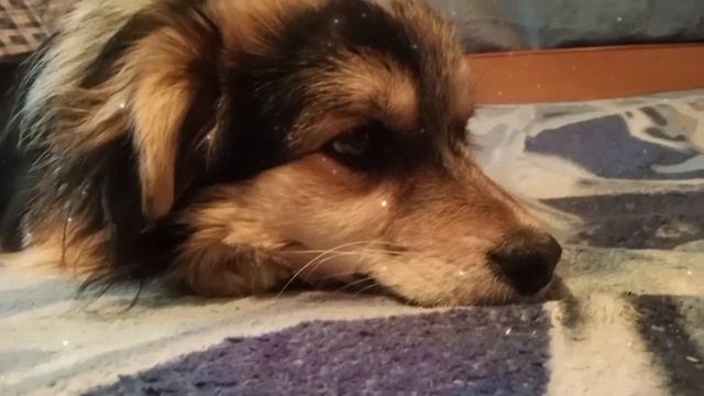 Поздравляем с 23 февраля 🎊☺ смотреть онлайн