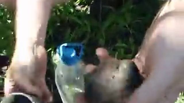 Размножение Хвойных растений (Часть 2 Черенкование Коники)