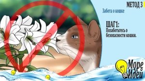 Твоя кошка не любит тебя? Как сделать так чтобы кот тебя любил