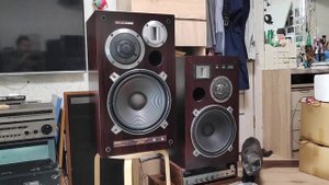 PIONEER S-9500 vs TRIO JL9100