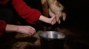 Верхние Мандроги экодеревня