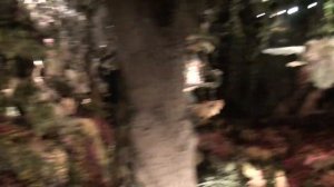 (EDITED VERSION) Efteling - Droomvlucht HD (Dreamflight)