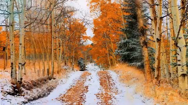 Последний месяц осени.