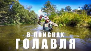 В поисках голавля