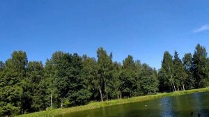 У Лены Хеппи опять новые планы.Миссис Фикс,однако!Или как удержать зрителей)