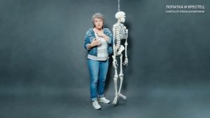 Какие секреты хранит лопатка? Лопатка и крестец. Советы от Елены Шумиловой