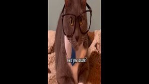 Бябялогия отрывок 2