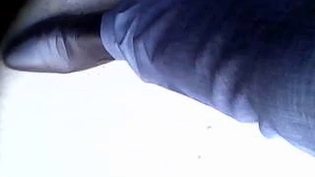 опись имущества смотреть онлайн